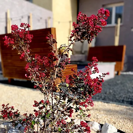 Frances - Maison Avec Jardin Et Terrasse Proche - Linge De Maison Inclus Ferienhaus Villelongue-de-la-Salanque