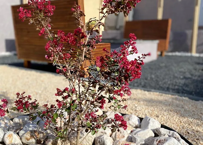 Frances - Maison Avec Jardin Et Terrasse Proche - Linge De Maison Inclus Hébergement de vacances